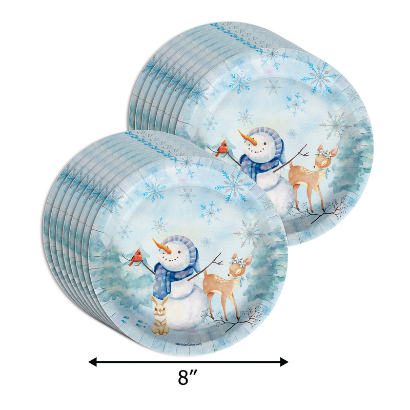 Little Snowflake on The Way Boy's Baby Shower Party Supplies 64 Piece Tableware Set Includes Large 9" Paper Plates Dessert Plates, Cups and Napkins Kit for 16